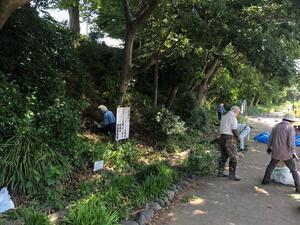 写真：崖線管理の様子2