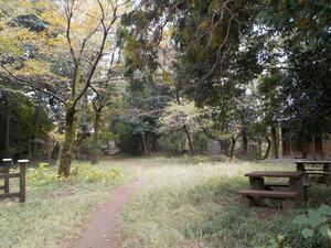 写真：令和元年滝山丘陵見学2