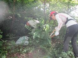 写真：活動の様子（下草刈りなど）1