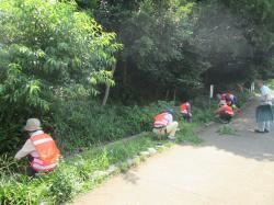 写真：活動の様子（下草刈りなど）2