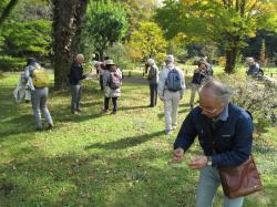 写真：センター内での植物観察の様子