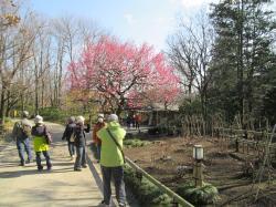 写真：園内の植物の様子