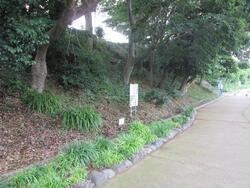 写真：第1回環境活動リーダー2