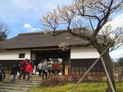 写真：植物観察会1