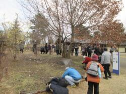 写真：植物観察会2