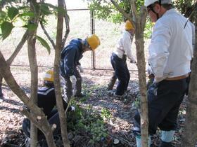 写真：平成26年度環境活動リーダー養成講座　第3回