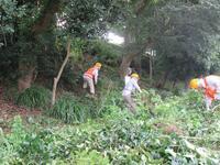 写真：平成27年度環境活動リーダー活動　第2回