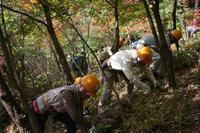 写真：平成27年度環境活動リーダー活動　第4回