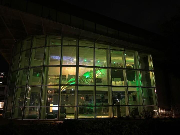 写真：アキシマエンシスのライトアップ