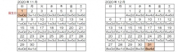 イラスト：接種間隔の考え方（生後）の例をカレンダーで表示