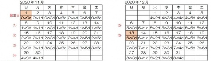イラスト：接種間隔の考え方（出生）の例をカレンダーで表示