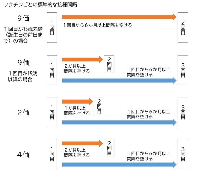 イラスト：ワクチンごとの標準的な接種間隔