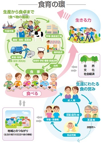 イラスト：食育の環