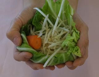 写真：一食分の野菜