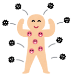 イラスト：免疫力のある人