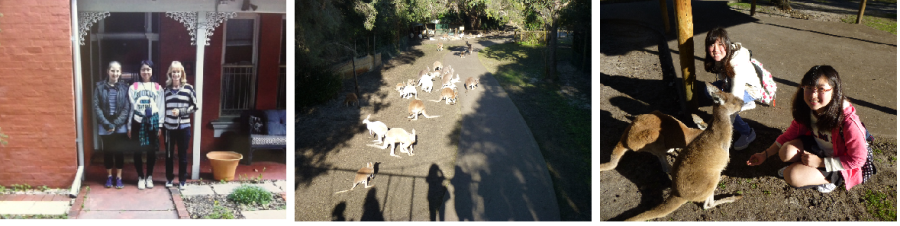 写真：8月2日、3日　活動の様子