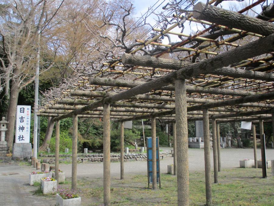 写真：3月28日のフジ1