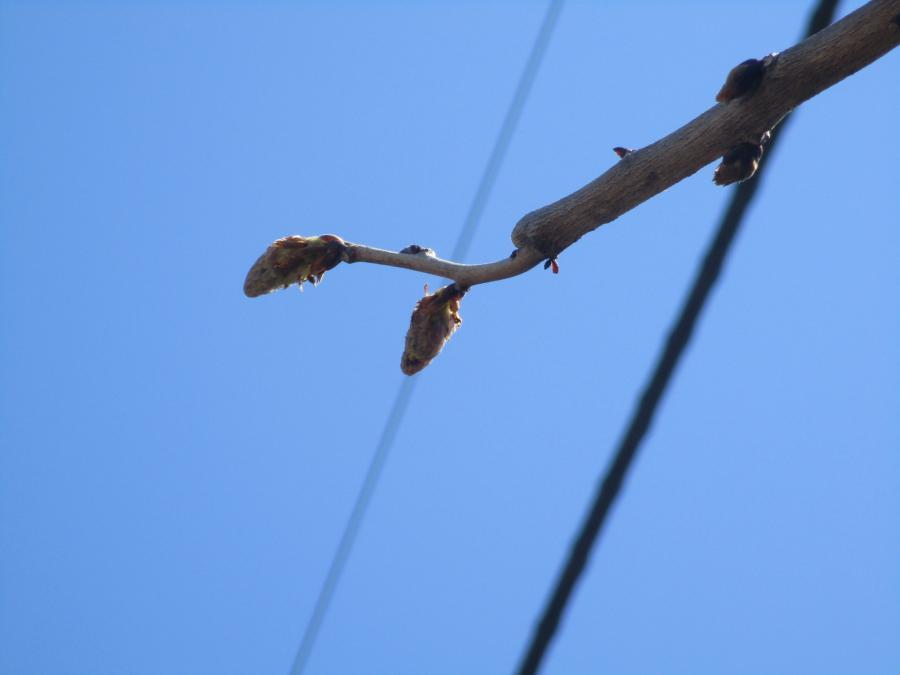 写真：4月4日のフジ2