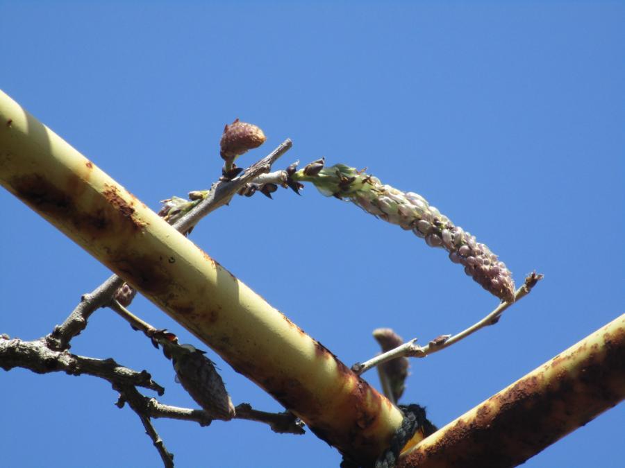 写真：4月9日のフジ2