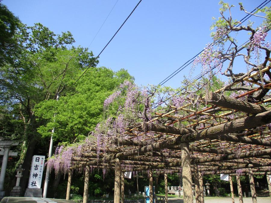 写真：4月21日のフジ1