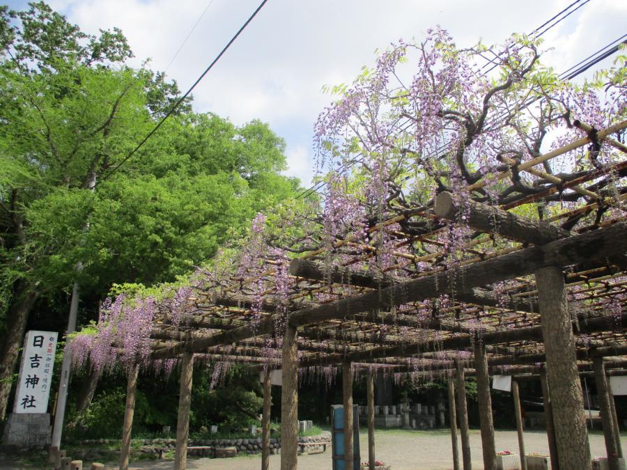 写真：4月22日のフジ1