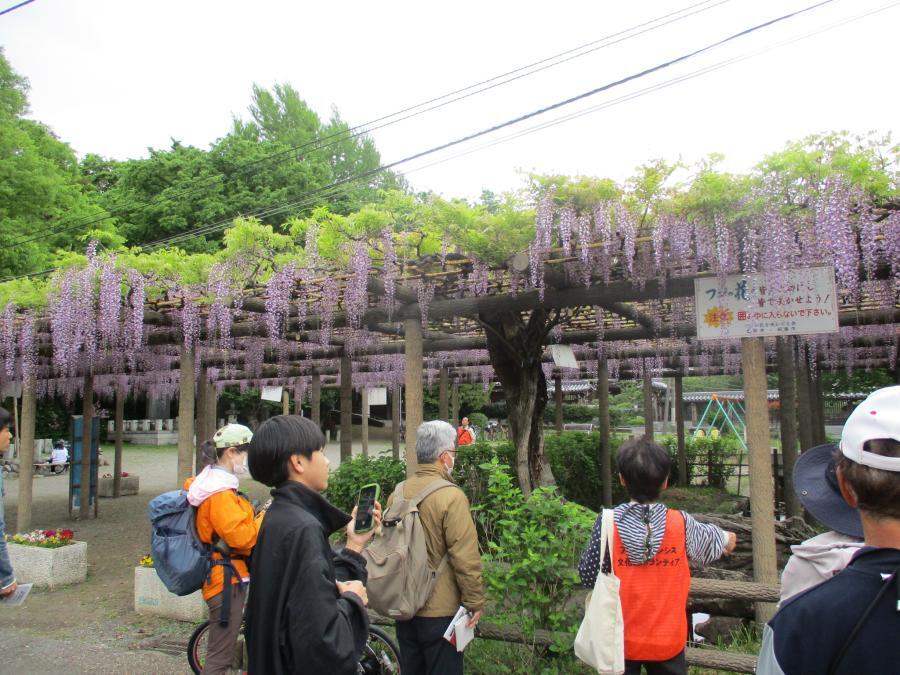 写真：4月26日のフジ2