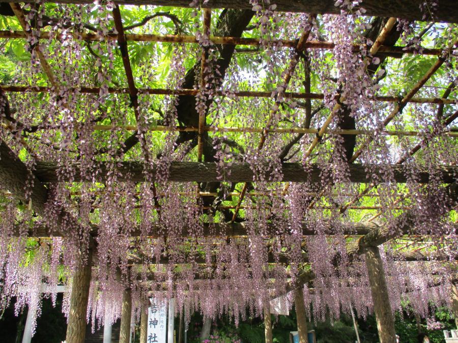 写真：5月1日のフジ3