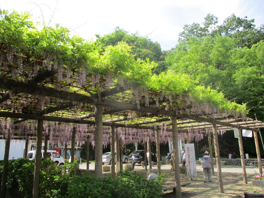 写真：5月1日のフジ4