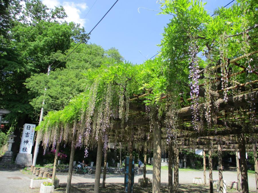 写真：5月8日のフジ1