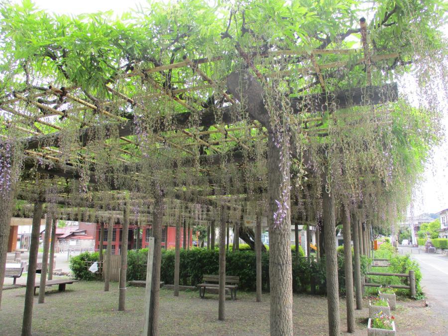 写真：5月9日のフジ2