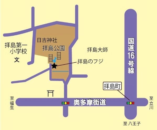 拝島のフジ　案内図