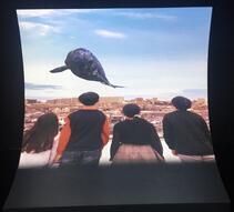 写真:想像してみようアキシマクジラ