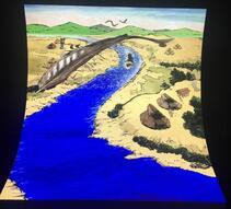 写真:多摩川と周辺の民家