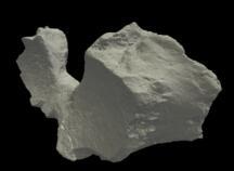 化石の3Dデータ1