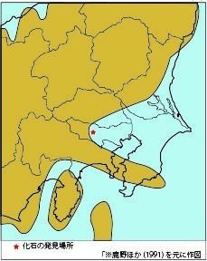 イラスト：アキシマクジラの生きた時代の古地理図