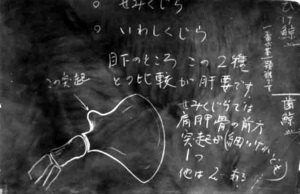 写真：尾崎博士による復元のための講義で要点が書かれた黒板