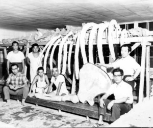 写真：復元完成記念のようす