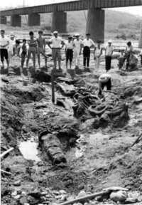 写真：発掘中の化石