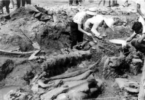 写真：発掘のようす