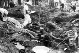 写真：水縄を張り、原位置記録作業をするようす