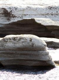 写真：多摩川なめ土2