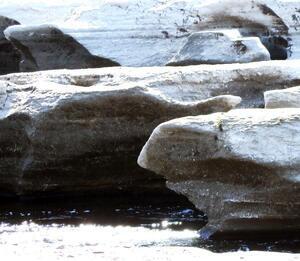 写真：多摩川なめ土3