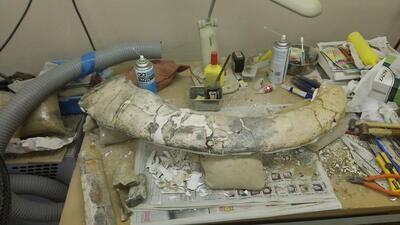 写真：クリーニングと補強作業