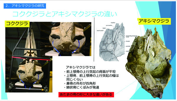 写真：木村主幹学芸員の資料