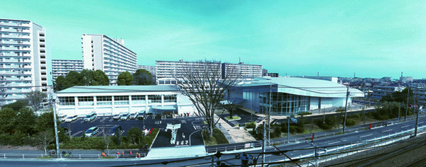 写真： アキシマエンシス全体