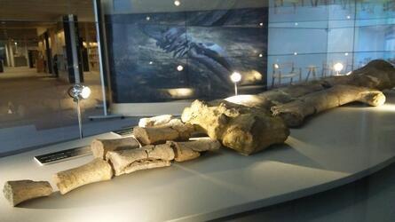 写真：アキシマエンシス内4