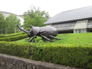 写真：群馬県立自然史博物館の外観