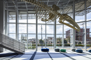 写真：アキシマエンシス内市民図書館入口のレプリカ