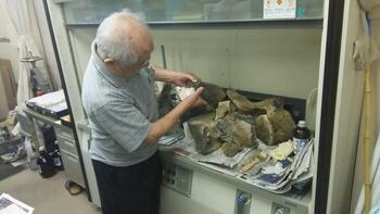 写真：化石の観察