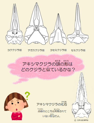 イラスト：骨はどれと似ているかな